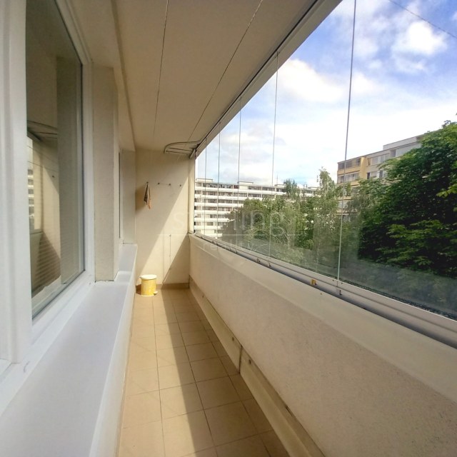 13510_4862163440.jpg