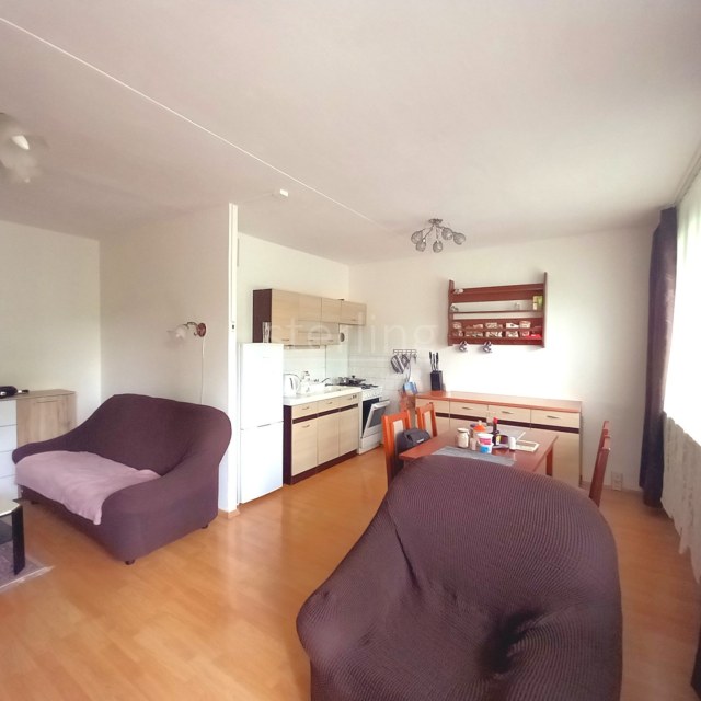 13510_4862181504.jpg