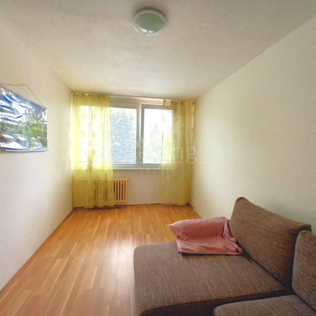 13510_4862218977.jpg