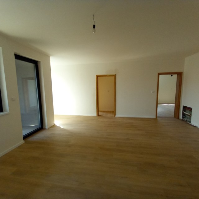 13997_5802892849.jpg