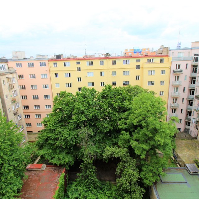 14008_4768212457.jpg